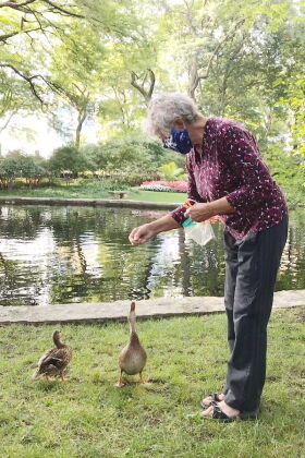 Anita Balodis feeding ducks